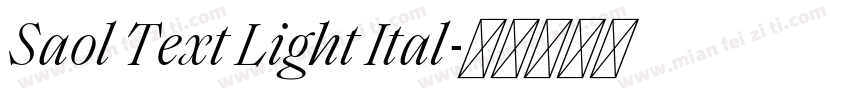 Saol Text Light Ital字体转换
